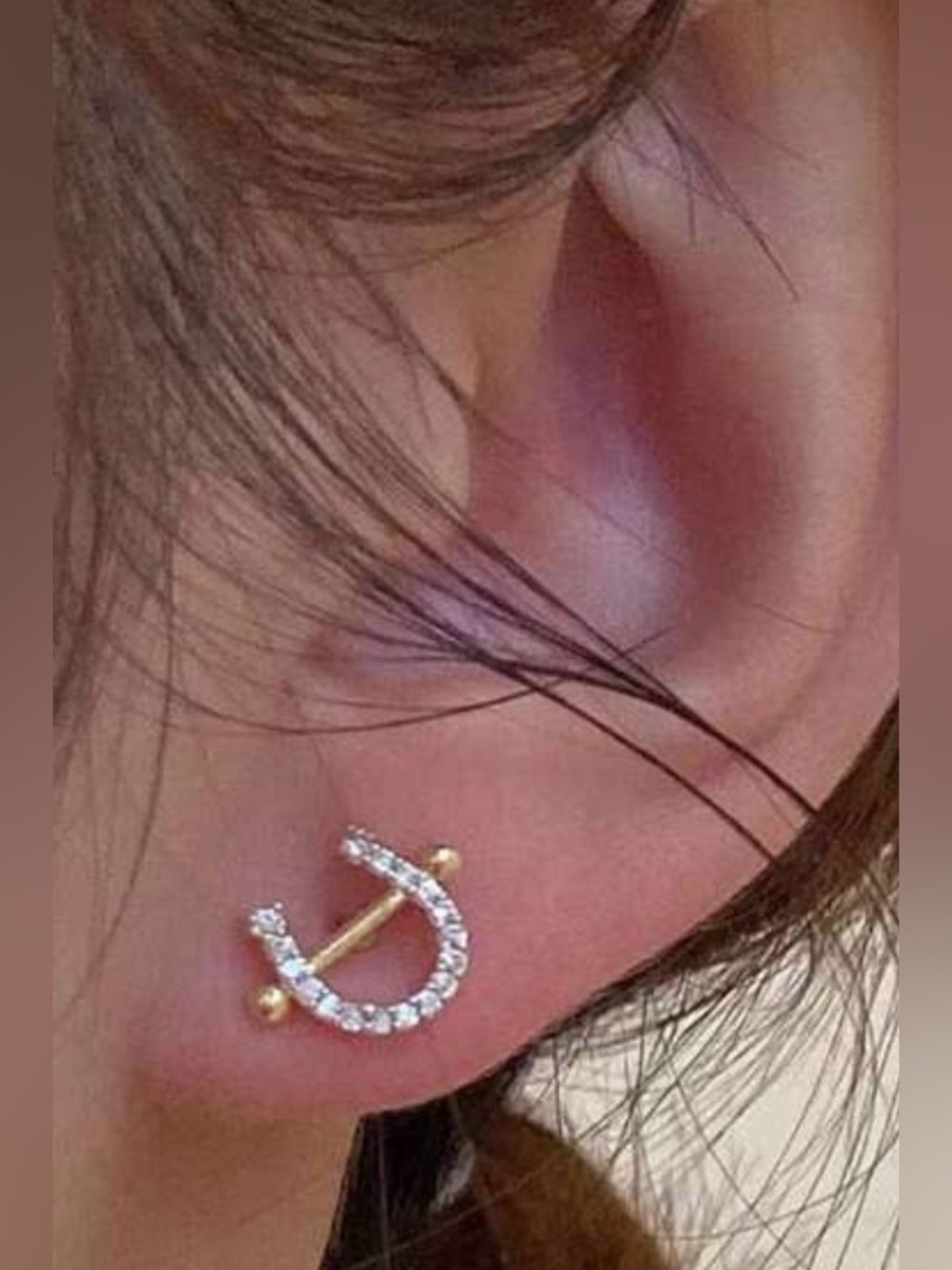Western Horseshoe Earrings Dainty Gold and Crystal Horseshoe Earring